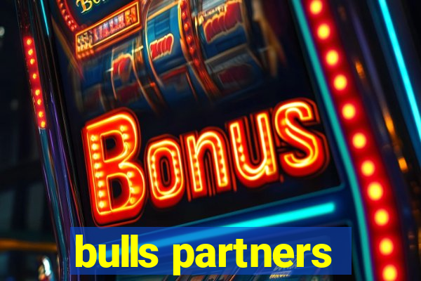 bulls partners